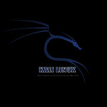 Megjelent a Kali Linux 1.1.0 változat