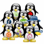 Linux rendszergazda